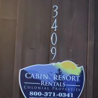 Cabin Resort Rentals ico