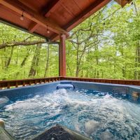 Ponderosa Cabins ico