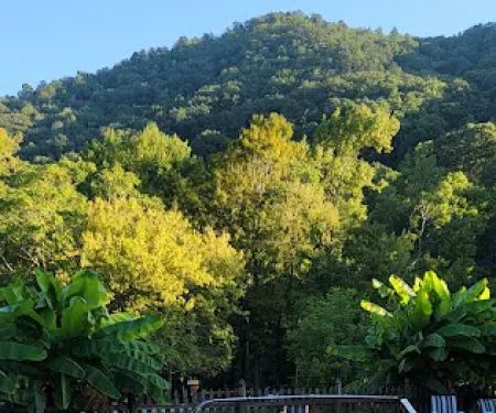 Half Moon Campground