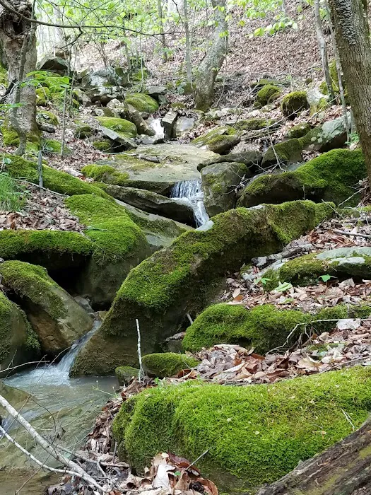 Trails End Campground Picture 4