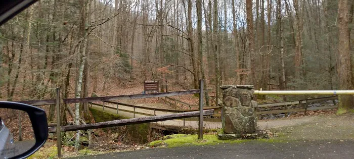 Flat Fork Group Campground Picture 3