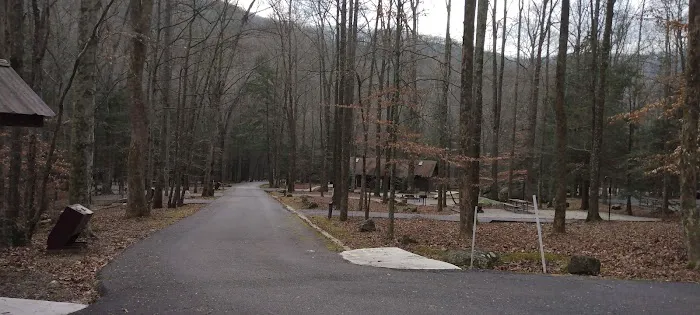 Flat Fork Group Campground Picture 5