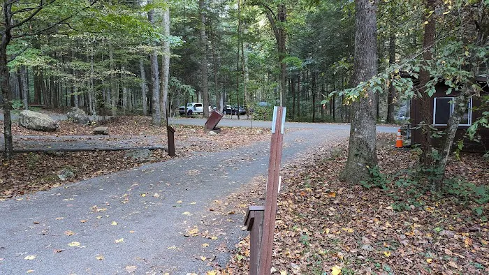 Big Cove Campground Picture 1