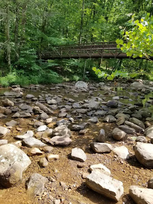 Big Cove Campground Picture 3