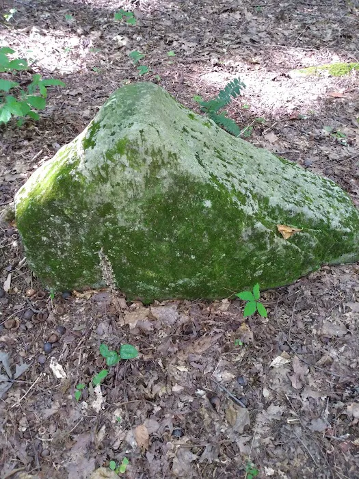 Big Cove Campground Picture 5