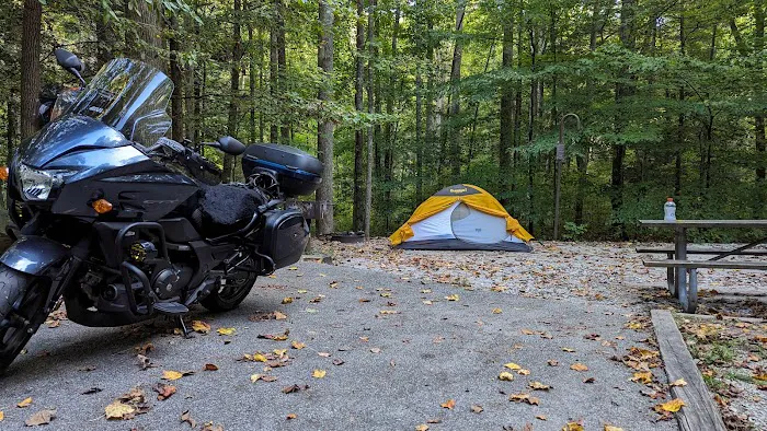 Big Cove Campground Picture 8