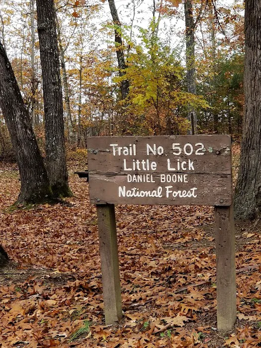 Little Lick Campground Picture 2