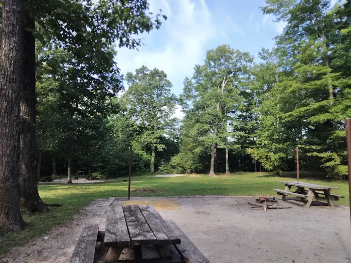 Little Lick Campground Picture 1