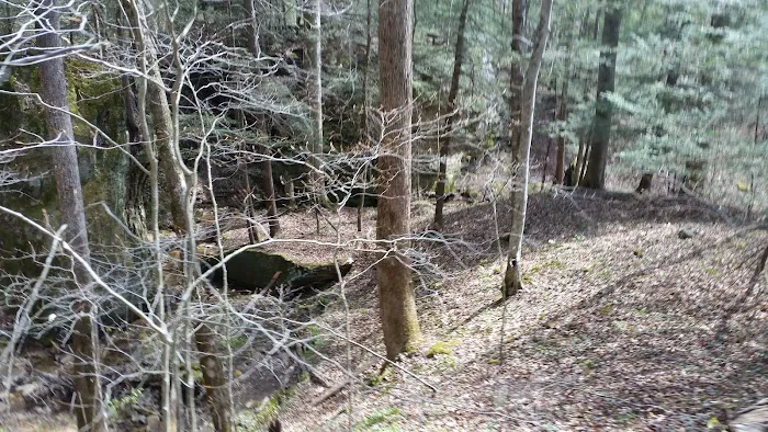 Little Lick Campground Picture 7
