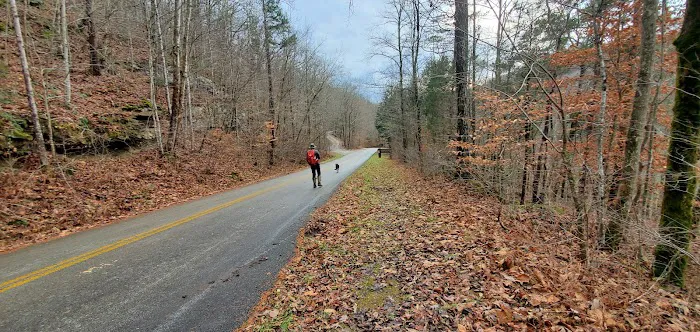 Alum Ford Campground Picture 3