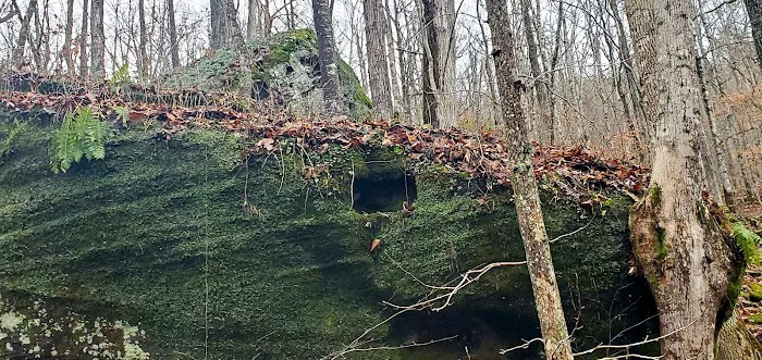 Alum Ford Campground Picture 4