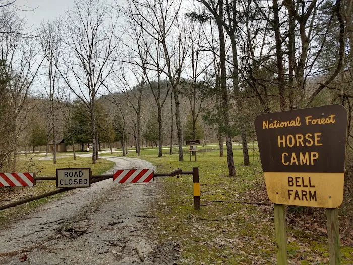 Bell Farm Horse Camp Picture 3