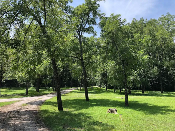 Bell Farm Horse Camp Picture 4