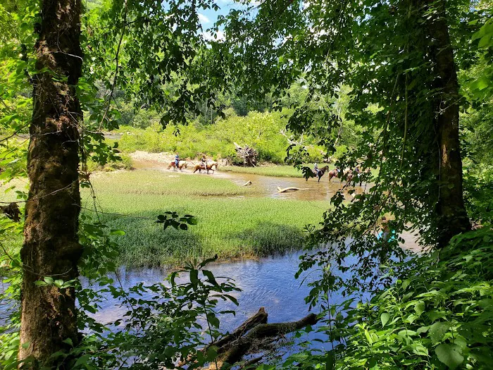 Great Meadows Campground Picture 2