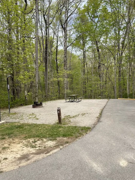 Bandy Creek Group Campground Picture 2