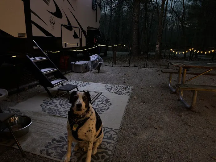 Bandy Creek Group Campground Picture 10