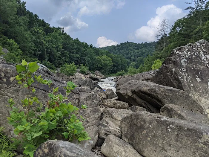 Bandy Creek Campground Picture 5