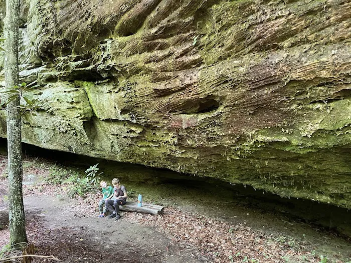 Bandy Creek Campground Picture 9