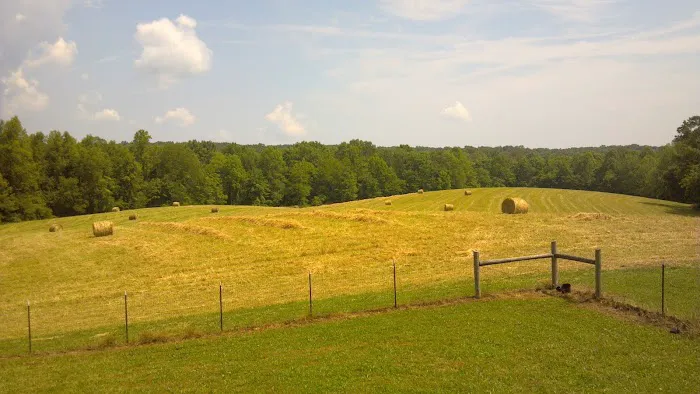 Big Fork Campground Picture 4