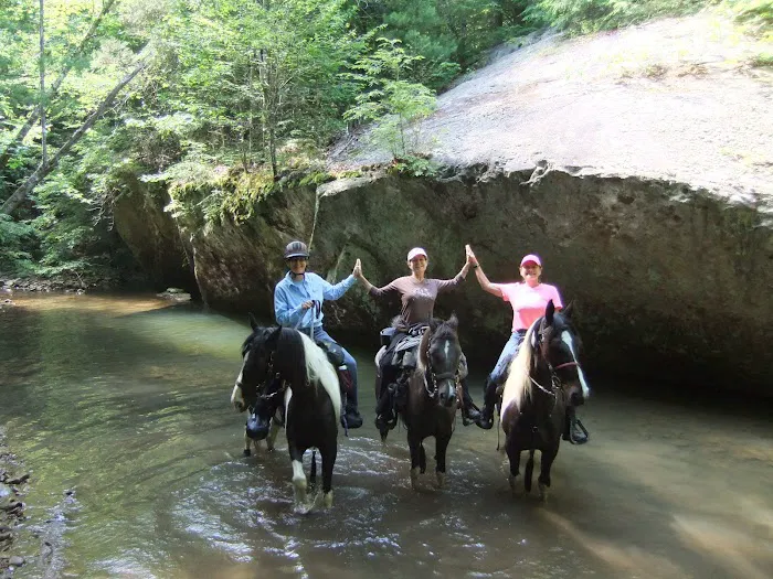 Big Fork Campground Picture 9