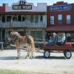 True West Campground & Stables Picture 7