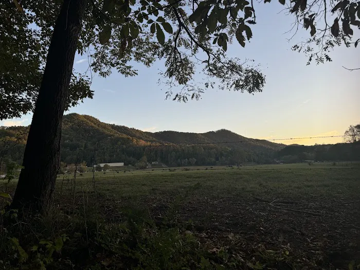 Black Bear Rendezvous View Picture 1