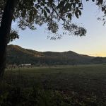 Black Bear Rendezvous View