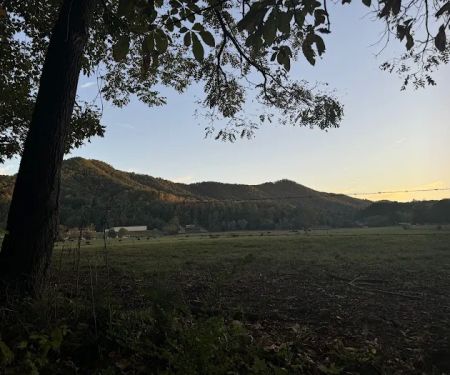 Black Bear Rendezvous View