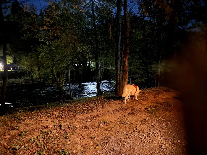 Black Bear Rendezvous View Picture 9