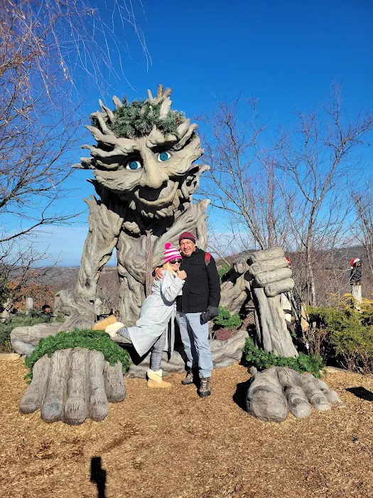 Blue Smoke Lodge Picture 8