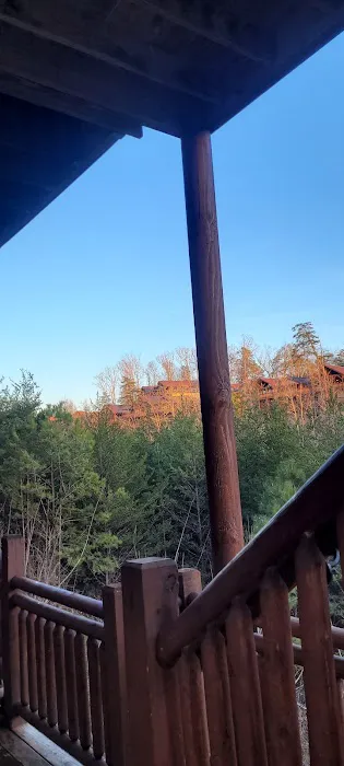 Blue Smoke Lodge Picture 7