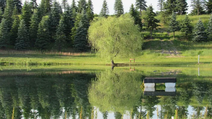 Hillside Campground Picture 7