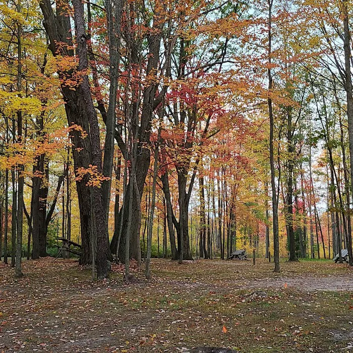 The Lost Oaks Campground Picture 4