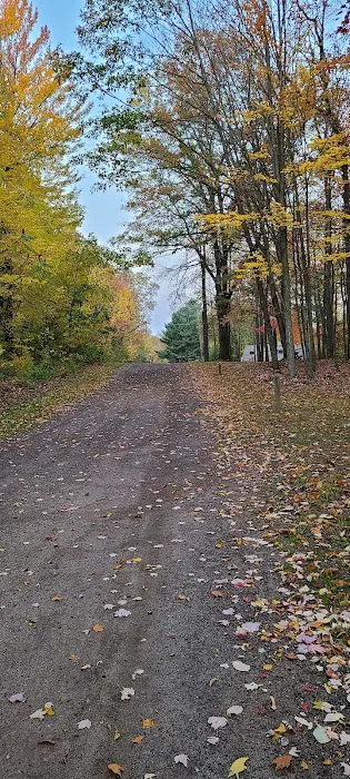 The Lost Oaks Campground Picture 11
