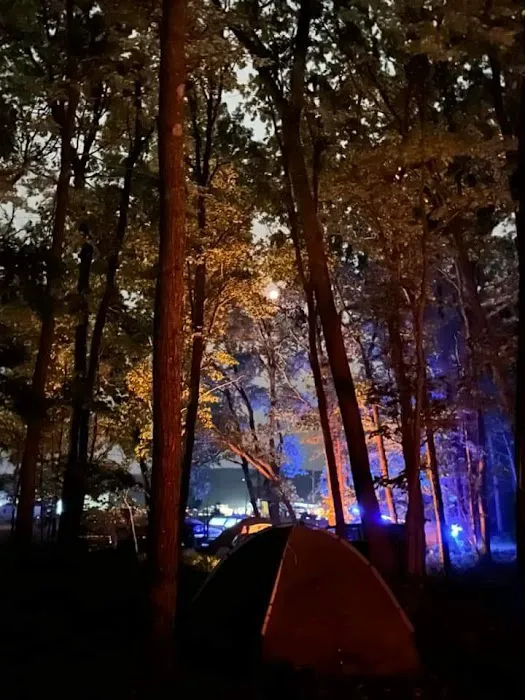 Exit 222 Campgrounds Picture 8