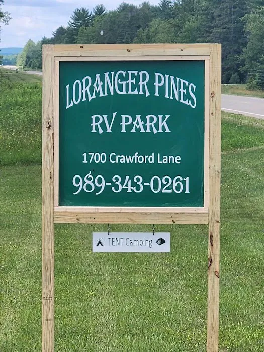 Tenting in the Pines Picture 6