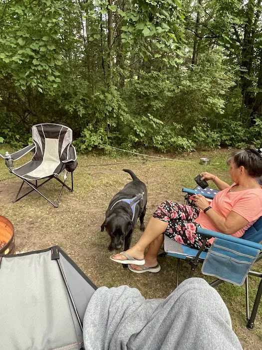 Tenting in the Pines Picture 2