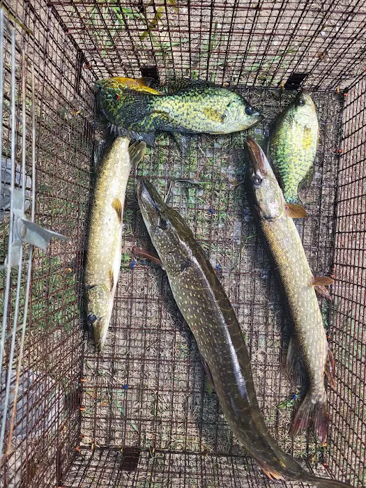 Artesia Beach Campground and Marina Picture 4