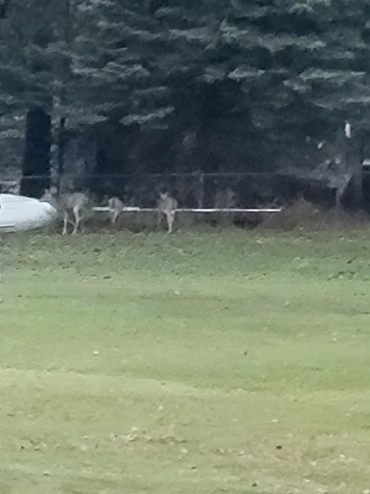 Artesia Beach Campground and Marina Picture 1