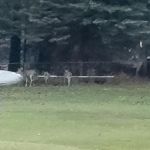 Artesia Beach Campground and Marina