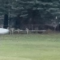 Artesia Beach Campground and Marina ico