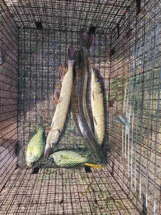 Artesia Beach Campground and Marina Picture 8