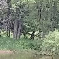 Duggan's Canoe Livery & Campground, Inc. ico
