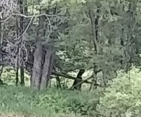 Duggan's Canoe Livery & Campground, Inc.