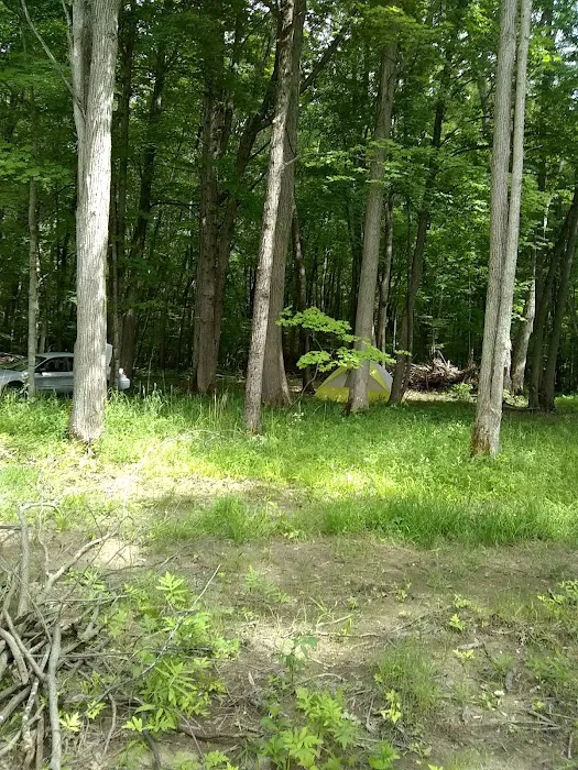 Duggan's Canoe Livery & Campground, Inc. Picture 5
