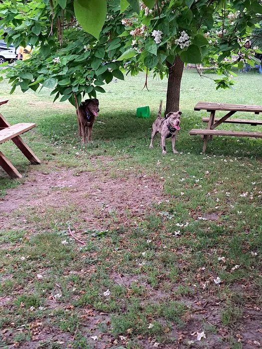 Hughey lake campground Picture 4