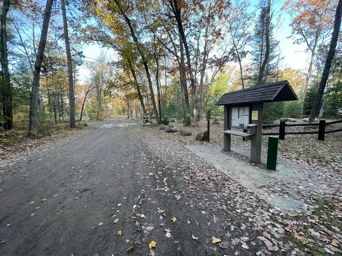 Ambrose Lake State Forest Campground Picture 5