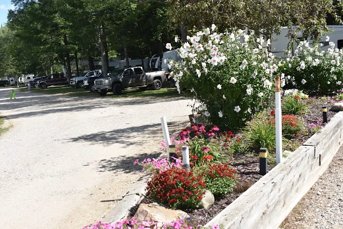 Wooded Acres Family Campground Picture 6