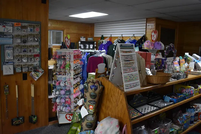 Wooded Acres Family Campground Picture 8