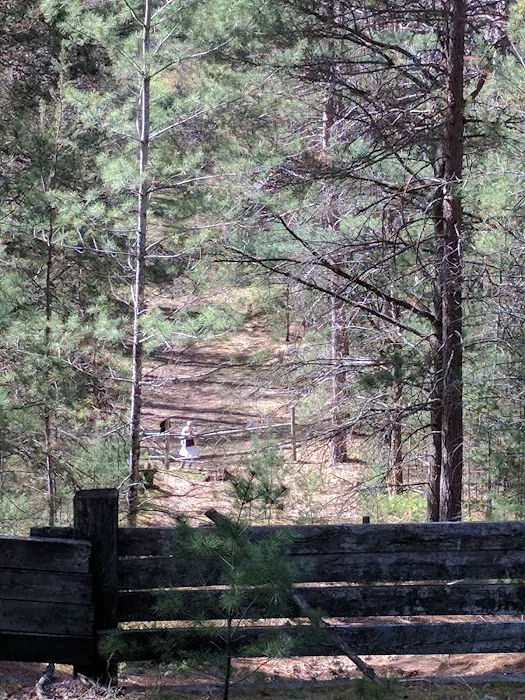 Silver Valley Trailhead Picture 5